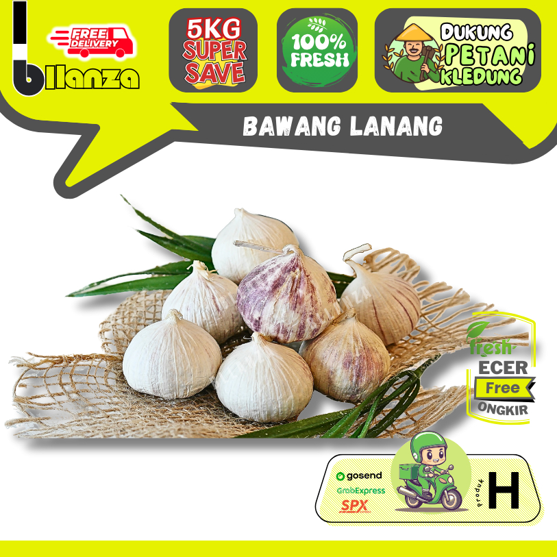 

Bllanza | Bawang Putih Lanang / Tunggal — Sayur Gunung GROSIR (A)
