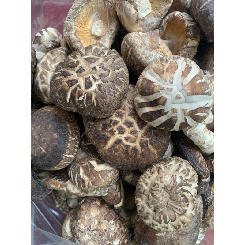 

Jamur Shitake Kering - 100gr