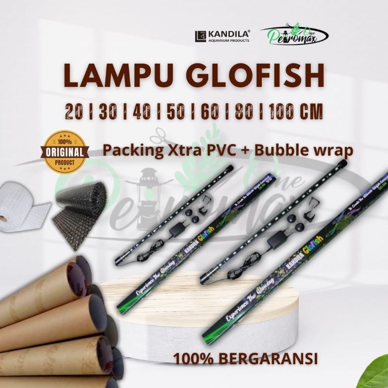 LAMPU CELUP KANDILA GLOFISH LAMPU LED IKAN GLOFISH