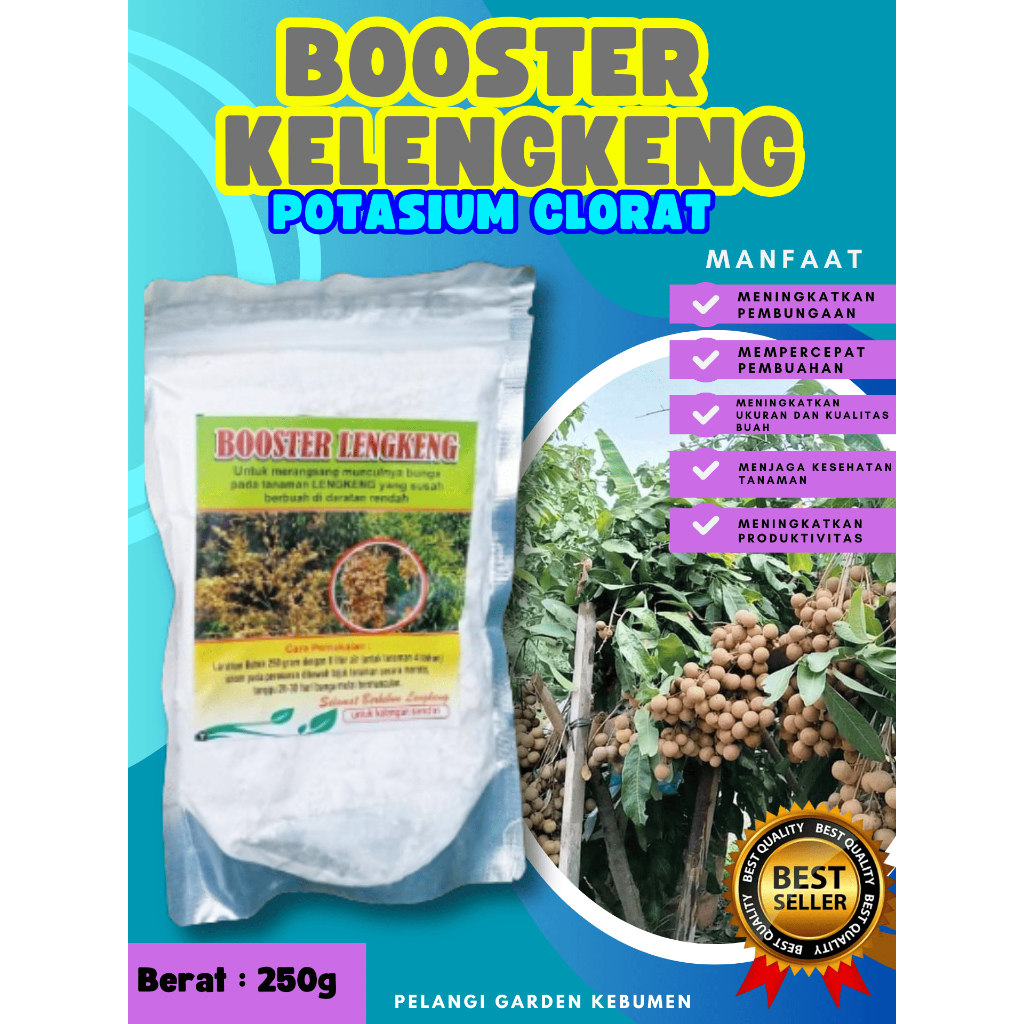 UNGGULAN  Booster Buah Kelengkeng Sudah Berbunga, Booster Buah Kelengkeng Siap Berbuah, Booster Buah