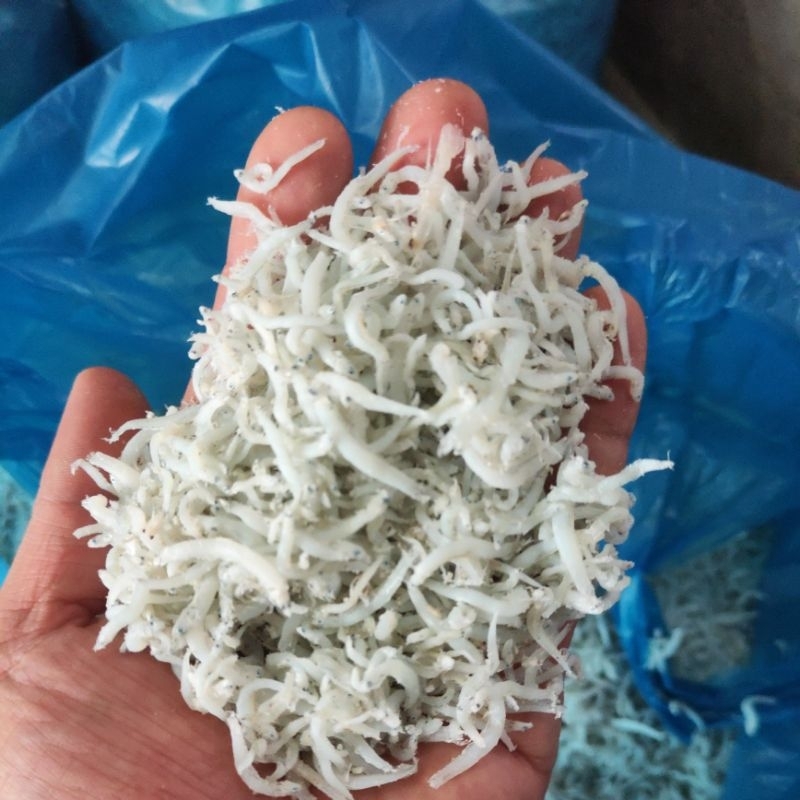 

Teri Nasi / Teri Medan / Teri Benang / Pekbut dari Tanjungbalai