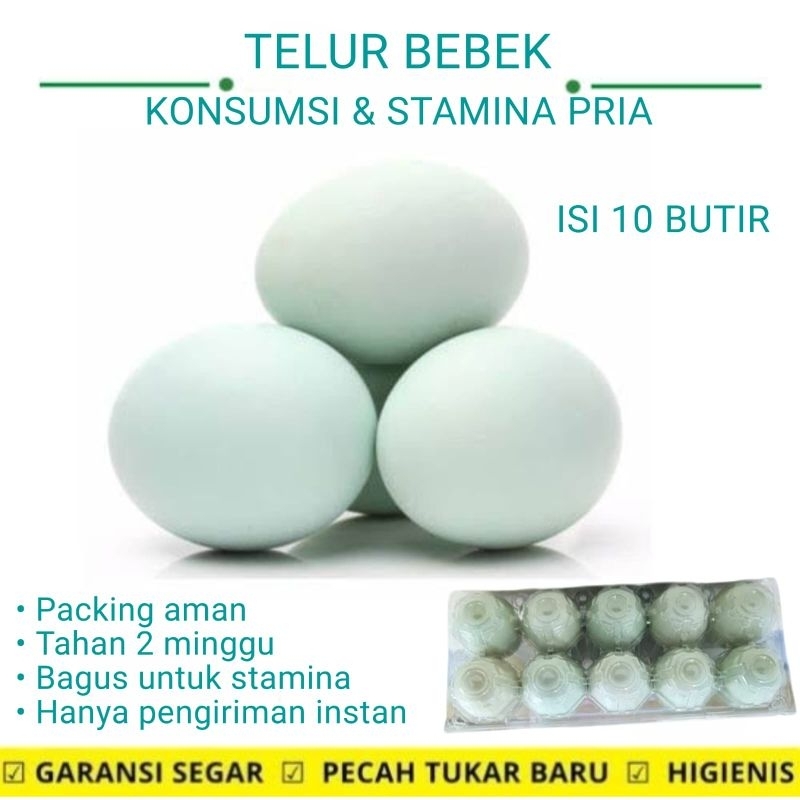 

Telur bebek Telor bebek fresh langsung dari kandang sehari nelor 10 butir