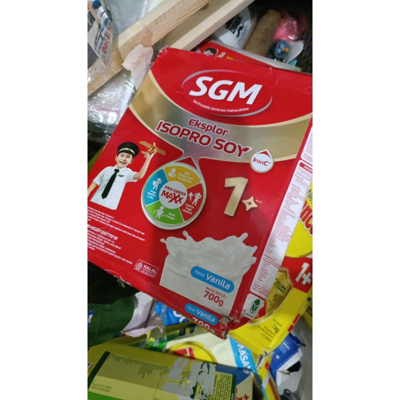 

susu sgm
