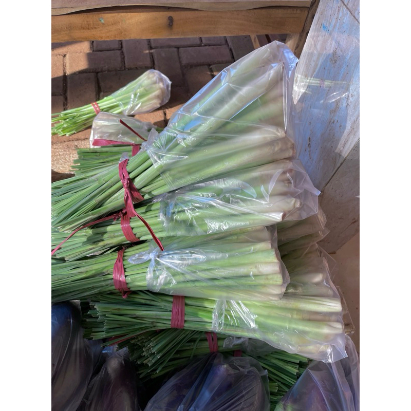 

SEREH BARU DIPETIK 1KG