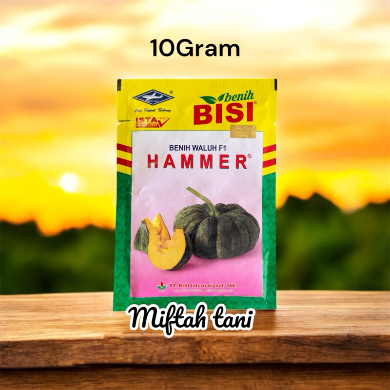 BENIH WALUH F1 HAMMER BENIH BISI CAP KAPAL TERBANG