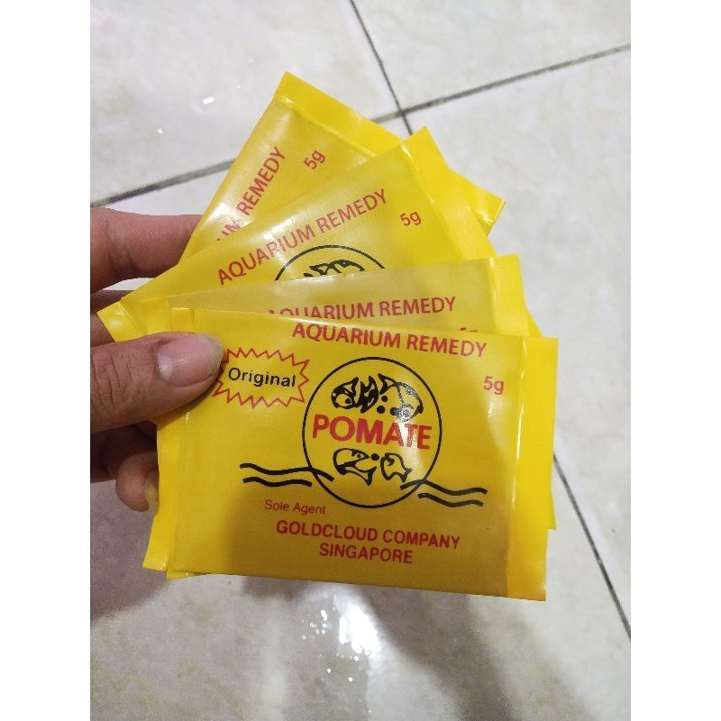 Obat Pomate Ikan