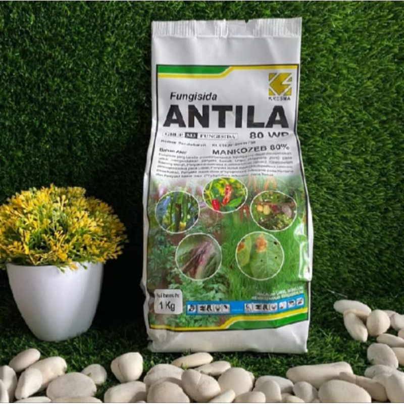 ANTILA 1kg