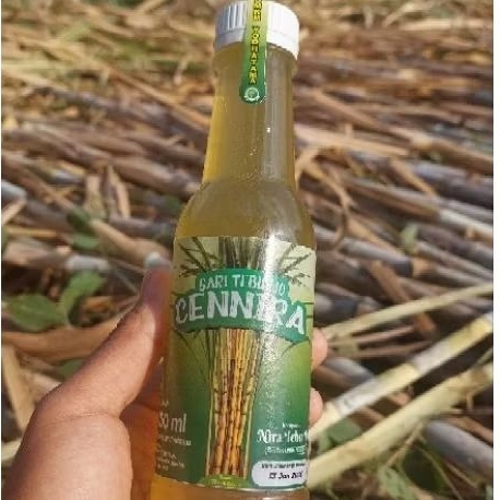 

SUGARCANE /NIRA TEBU ASLI KEDIRI (100% AIR TEBU MURNI, TERDAFTAR BPOM & HALAL MUI)