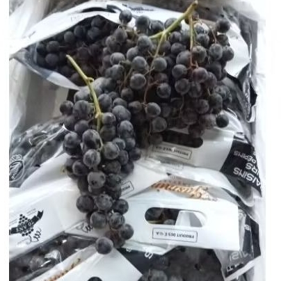 

anggur black autumn seedless(tanpa biji)