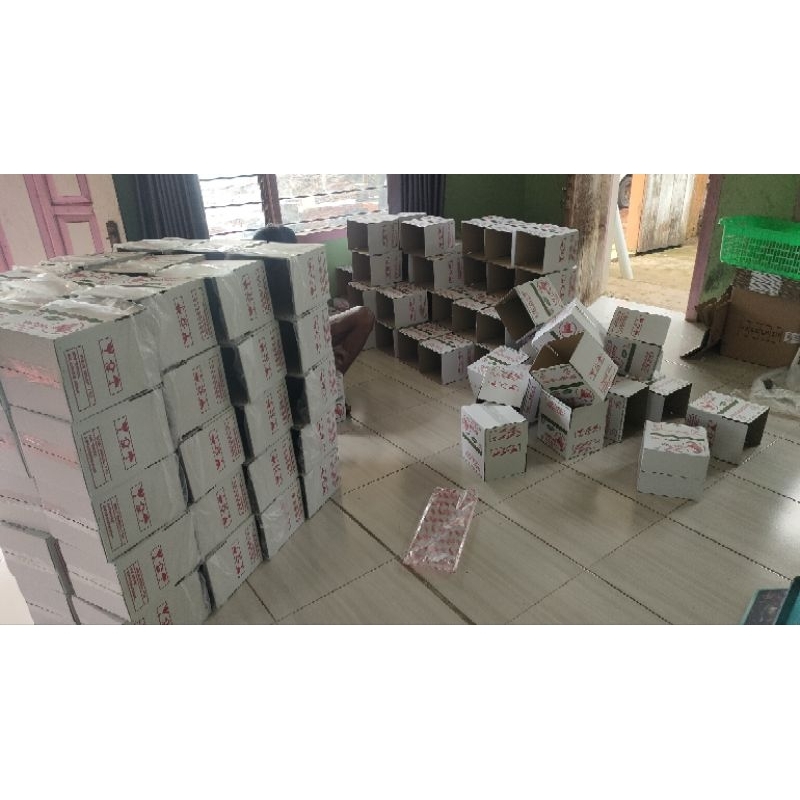 

EMPING MLINJO LIMPUNG