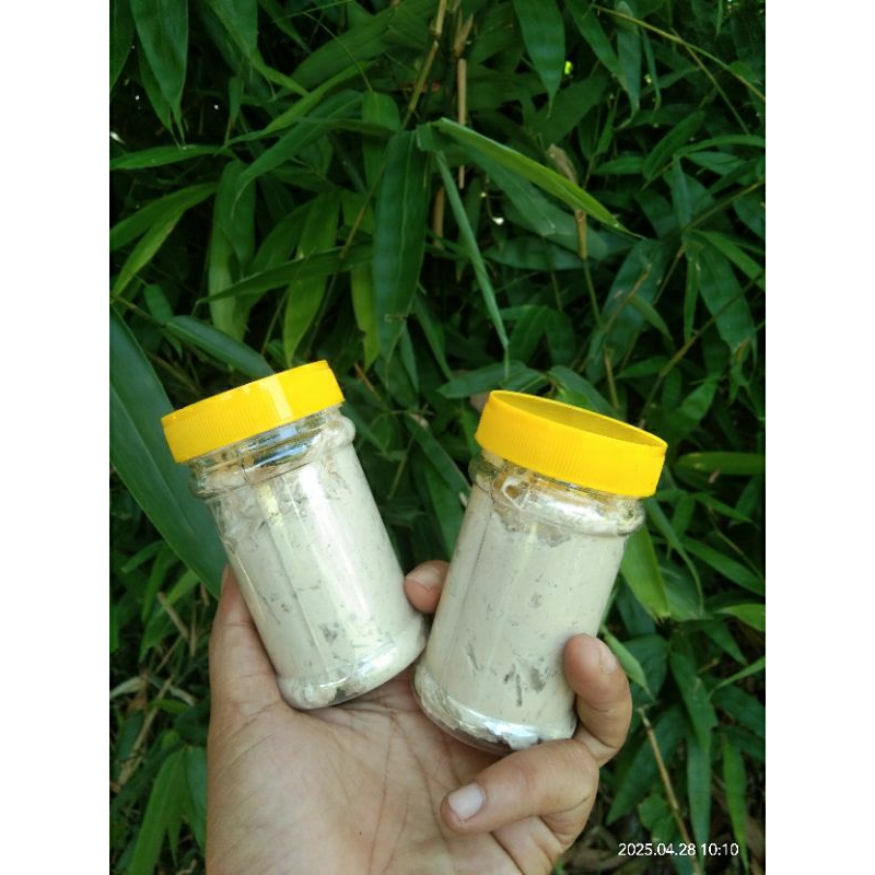 COD / UMPAN KUCUR PAKET HEMAT  / UMPAN KUCUR SPECIAL IKAN BAUNG / UMPAN MANCING LIAR IKAN BAUNG, PAT