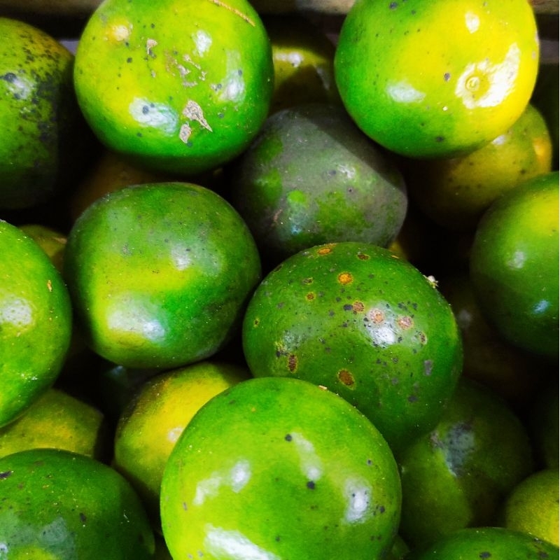 

Jeruk Peras Jeruk Wedang Fresh 1kg