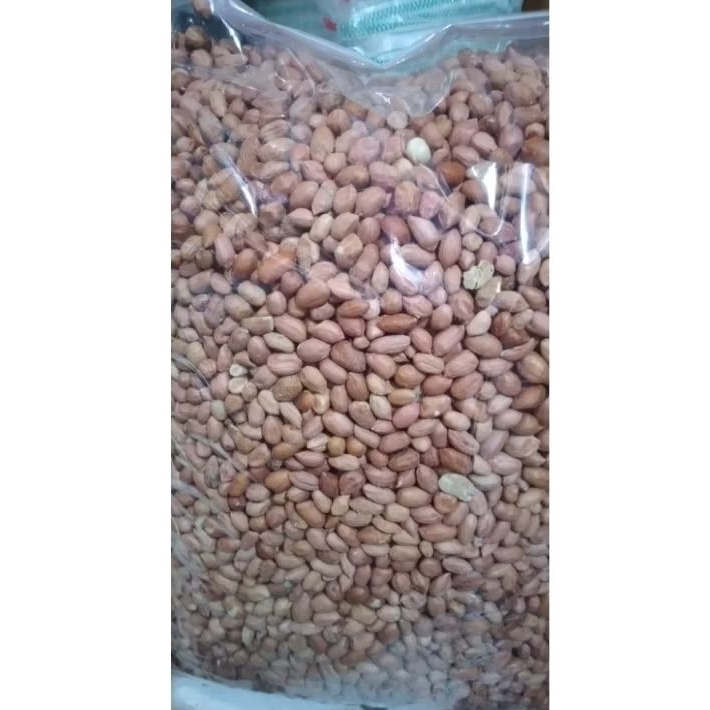 

Kacang Tanah