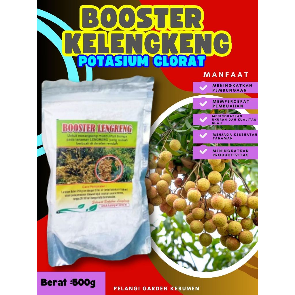 KUALITAS TERBAIK ! Boster Kelengkeng Merah, Boster Kelengkeng Matalada Berbuah, Boster Kelengkeng Me