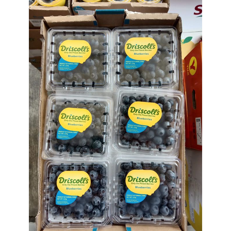 

blueberry driscol manis