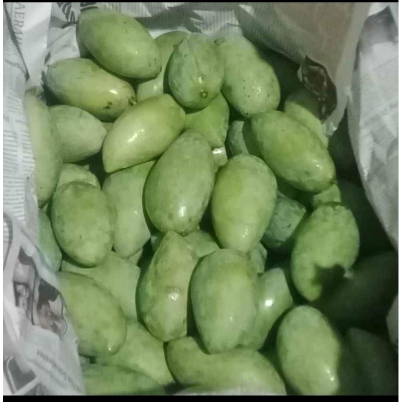 

mangga muda 1kg