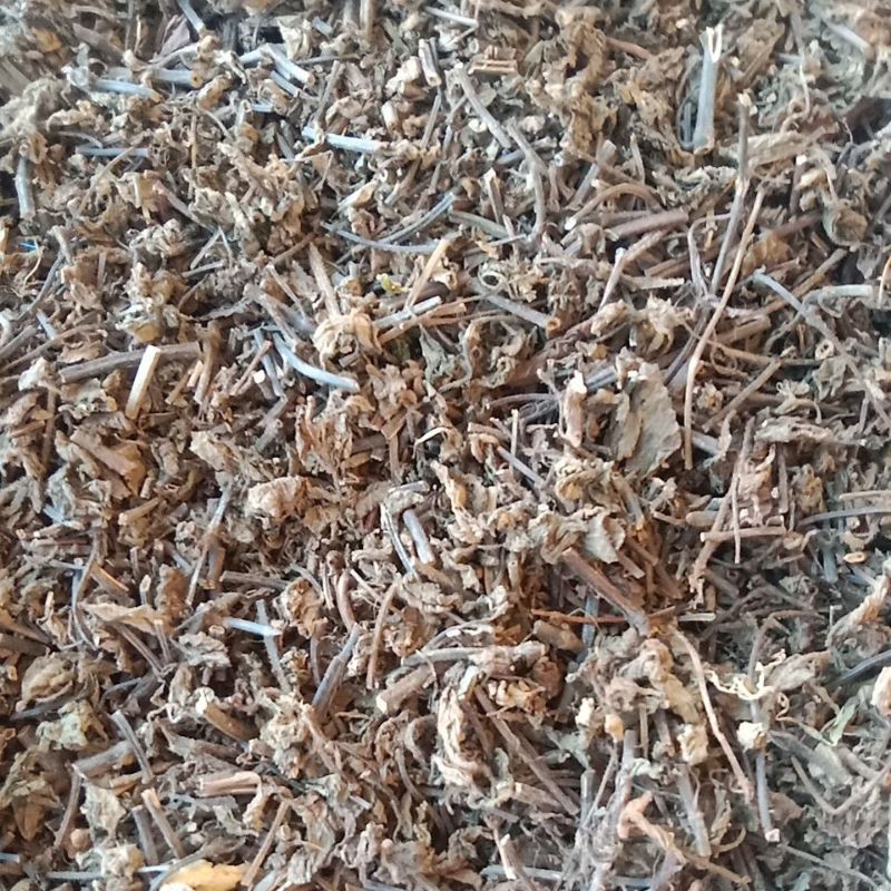 

Daun Cincau Hitam kering 40 kg / bal Bahan Cincau Hitam Super