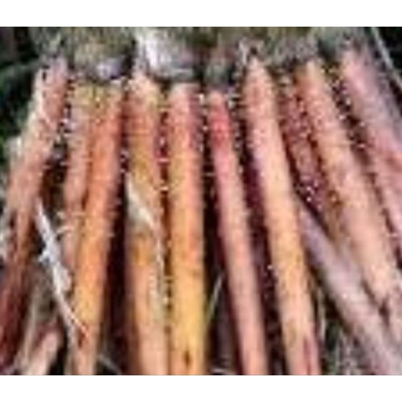 

Jual akar pinang segar ambil langsung dari pohonnya organik 1kg