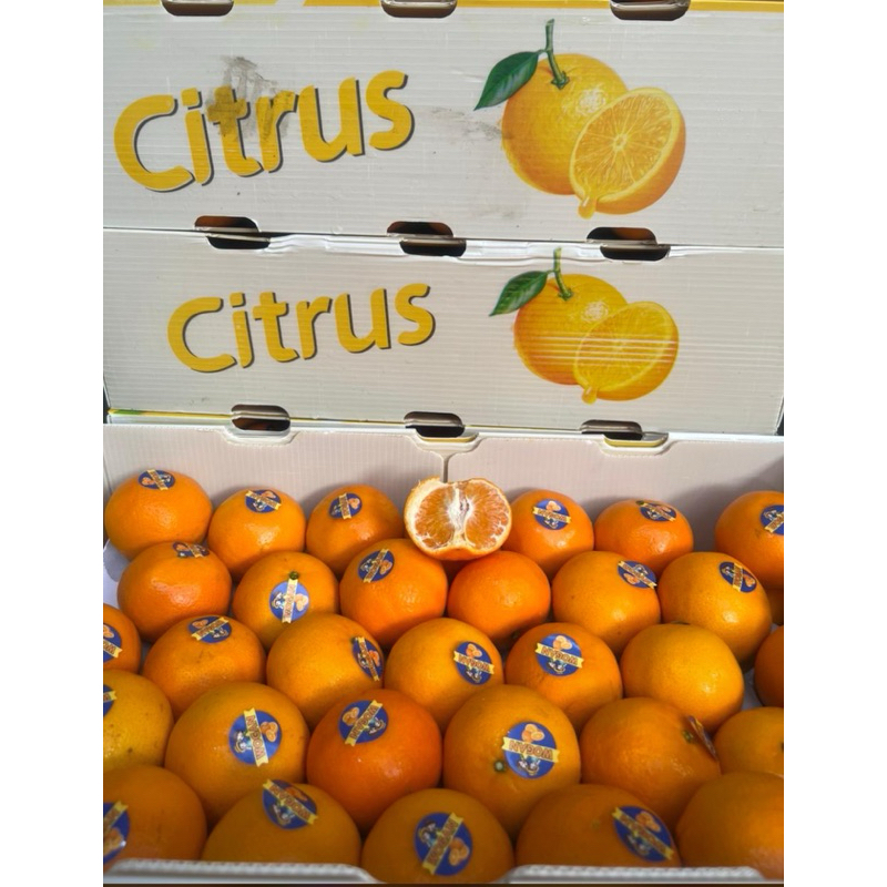 

Jeruk Wogan Citrus manis kaya madu