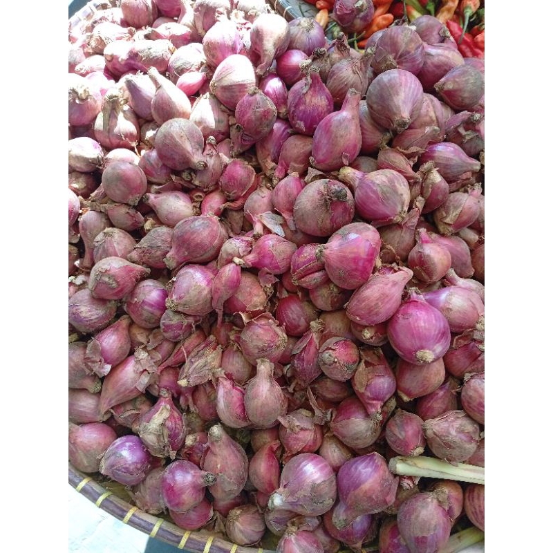 

Bawang Merah