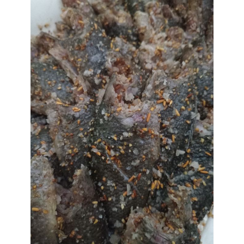 

Paja Papuyu 250gr dan 500gr Fress