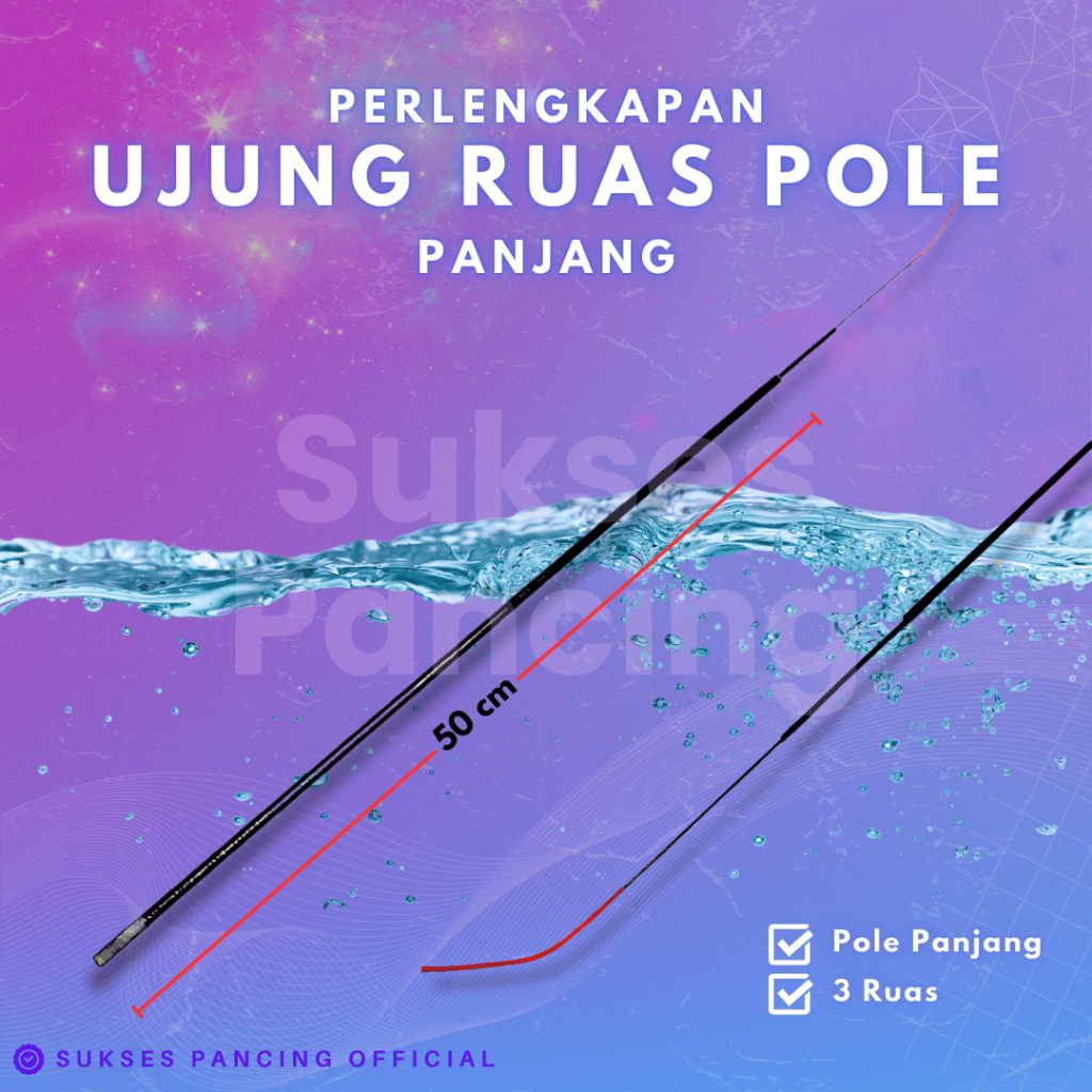 Ujung Ruas Pole Panjang Tegek 3 Ruas