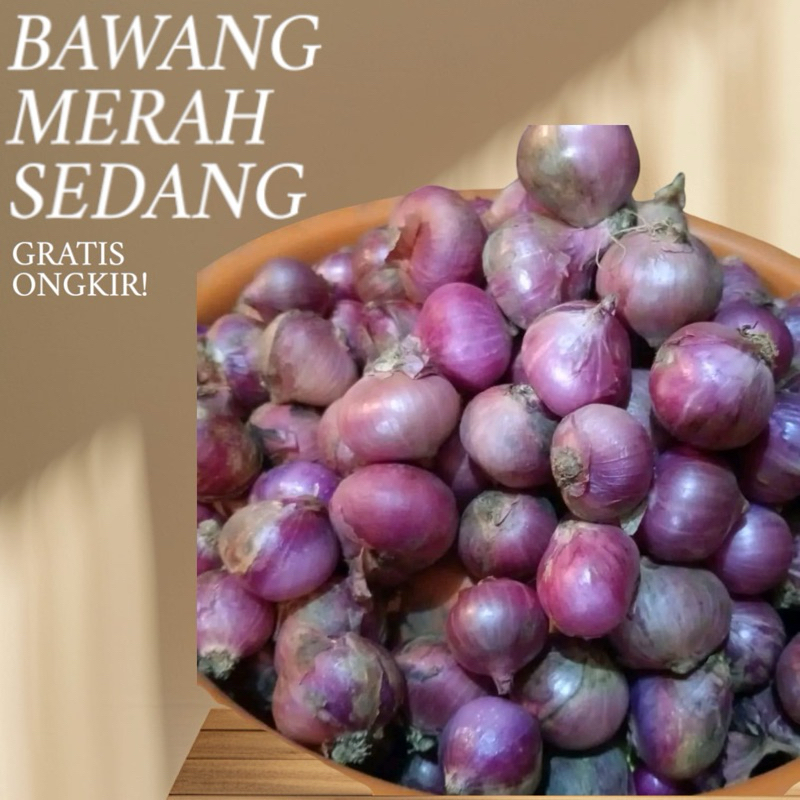 

BAWANG MERAH SEDANG 1kg