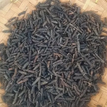 

Cabe Jawa Kering Herbal Cabe Puyang JSR Obat Jamu Herbal