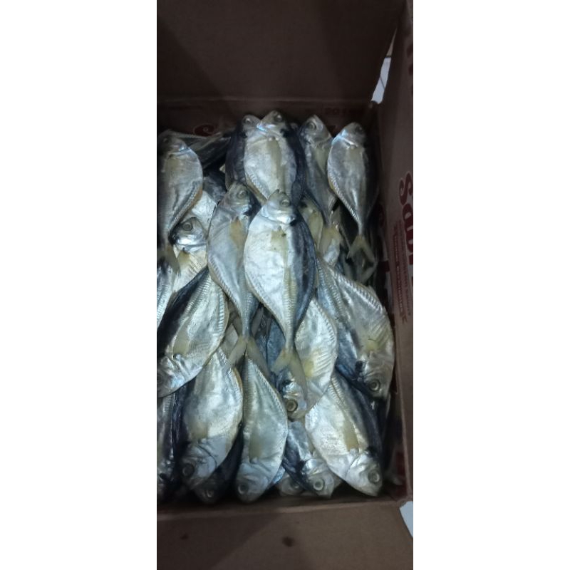 

IKANAMPINGGEMOY500gram