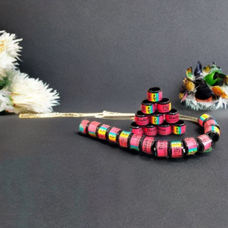 RING BURUNG MURAI KACER CENDET