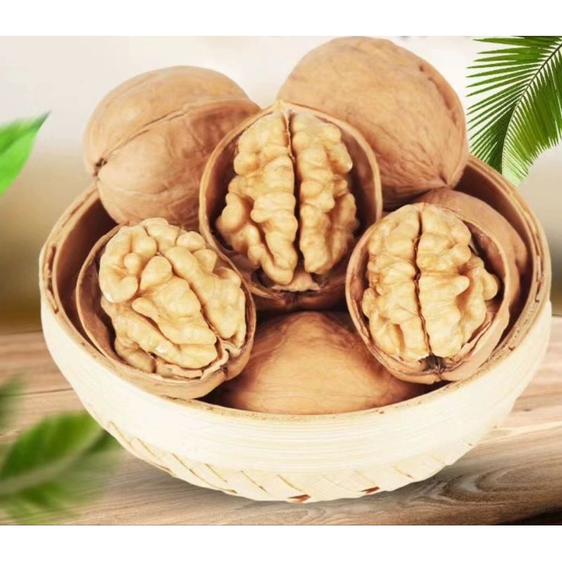 

Kacang Kenari Walnut Xin Jiang 120 Gram