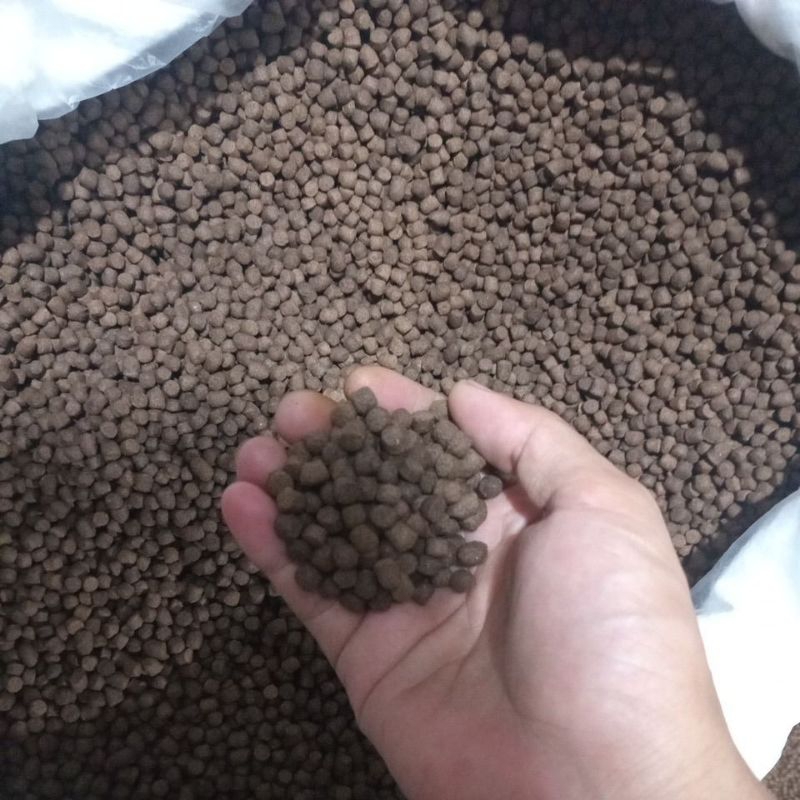 

makan ikan bandeng lele/grame/ bawal 1 kg