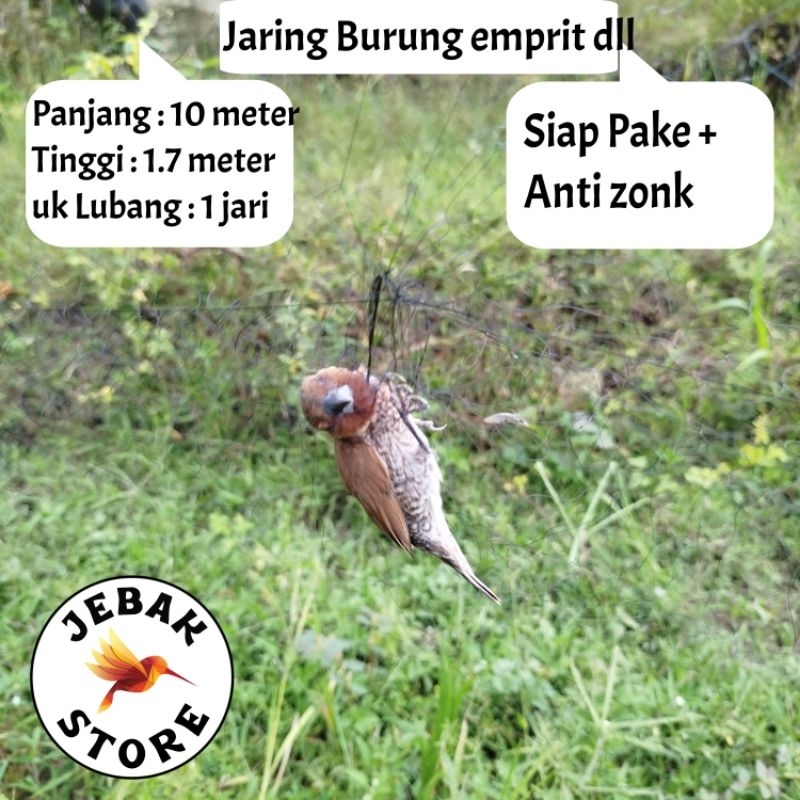 JARING BURUNG EMPRIT JARING BURUNG KECIL JARING BURUNG SAWAH JARING BURUNG PIPIT PEKING MURAH JARING