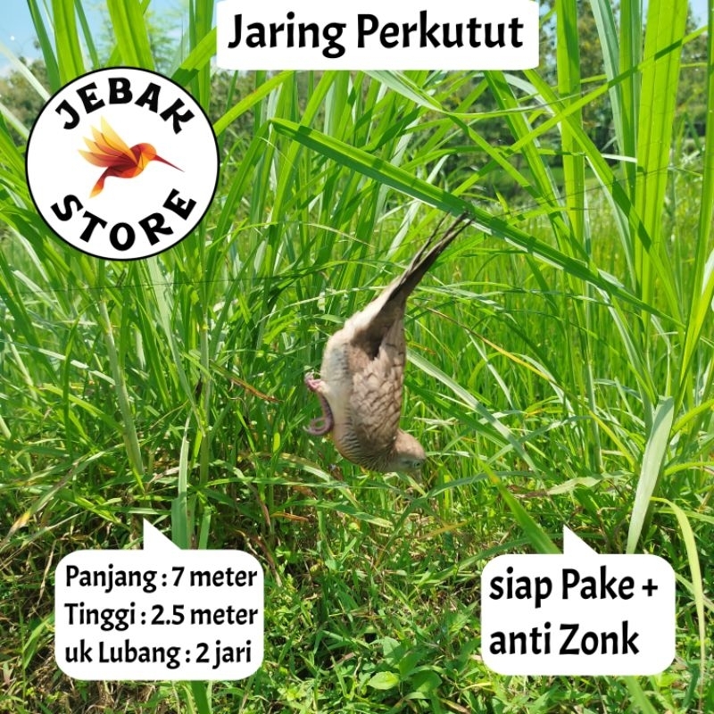 JARING BURUNG PERKUTUT JARING BURUNG KUTUT JARING BURUNG KUTUT JARING BURUNG BESAR JARING BURUNG 2 I