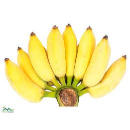 

Pisang Awak / Pisang Siam Segar & Olahan – Buah Manis Serbaguna