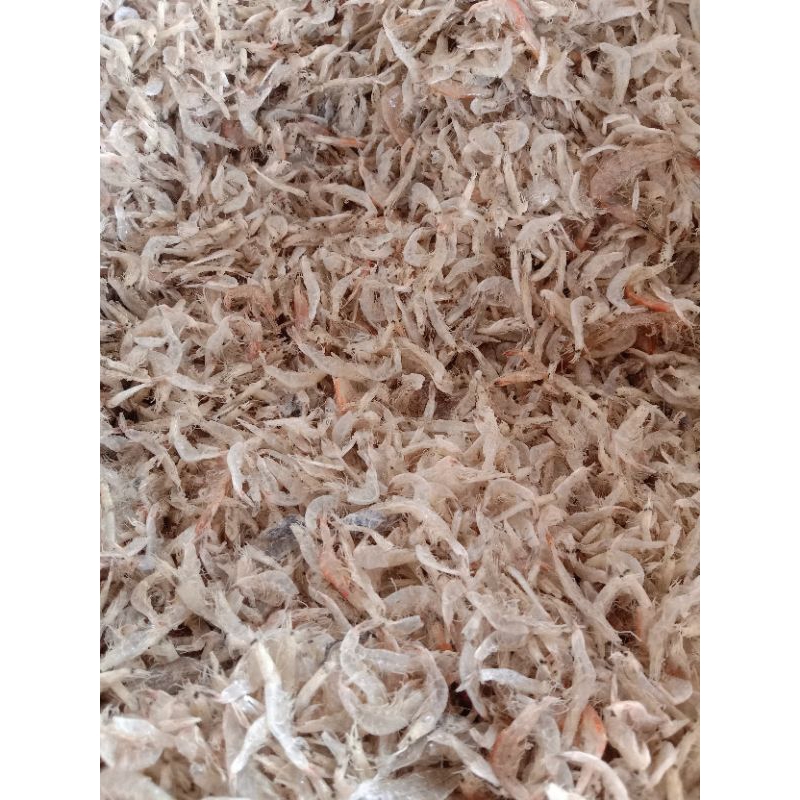 

Udang reborn / Grago / Ebi