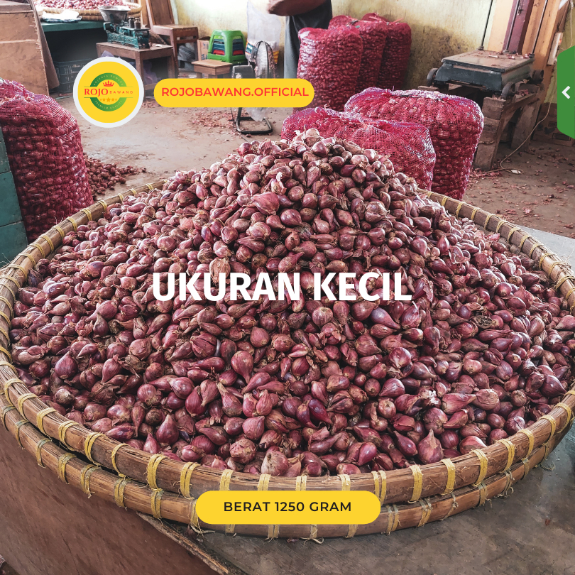 

bawang merah murah 1kg berkualitas|bawang merah/bumbu masak