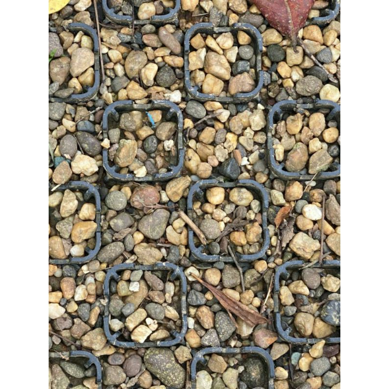 TurfPave