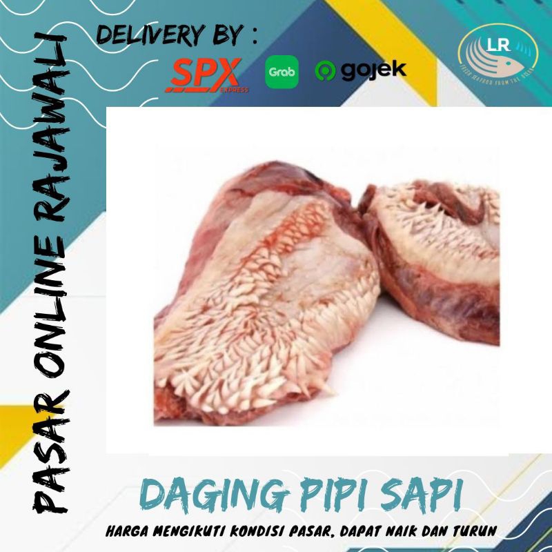 

Daging pipi sapi