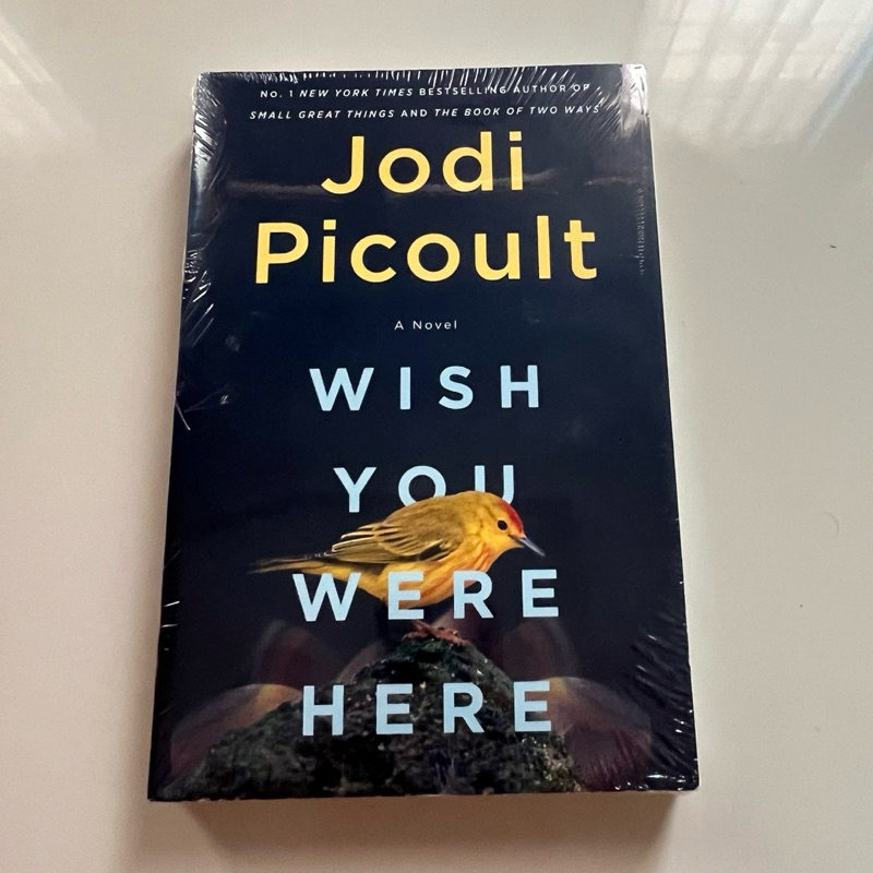 Wish You were Here Jodi Picoult