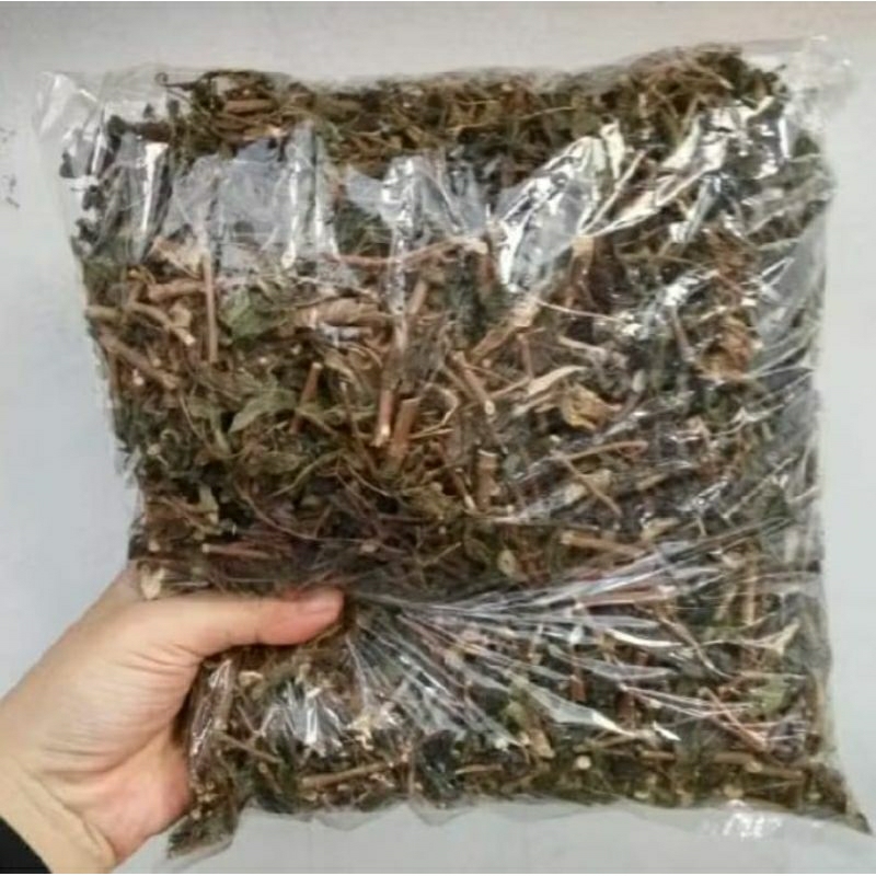 

Tanaman herbal daun kumis kucing kering asli 500grm