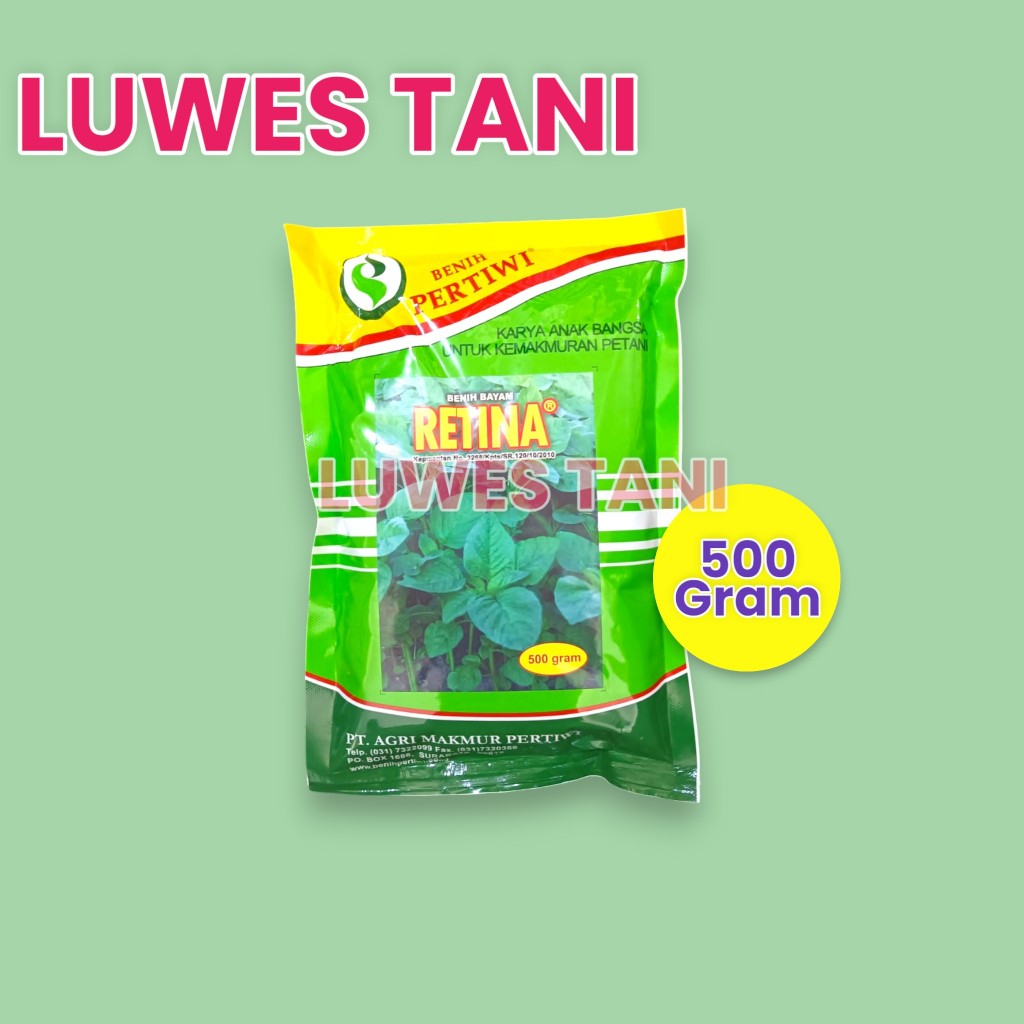 Benih Bayam Retina Pertiwi  BESAR (500 gram) bayam cabut dan potong