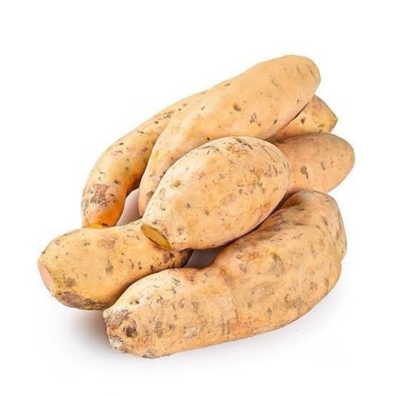 

Tela Rambak - Ubi Jalar 1kg atau /kg Murah