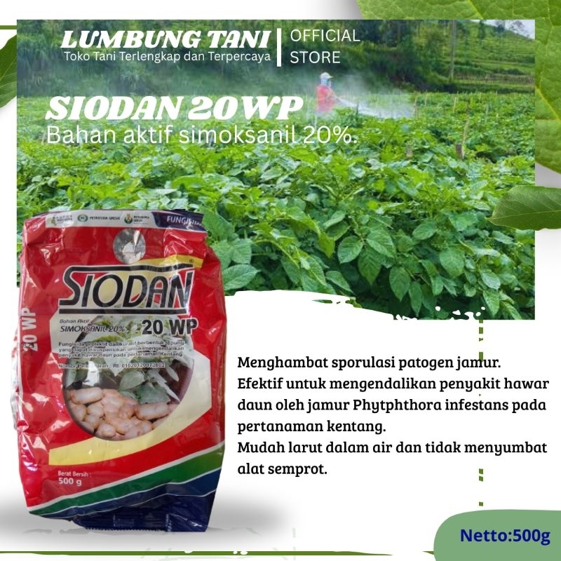 FUNGISIDA SIODAN 20WP