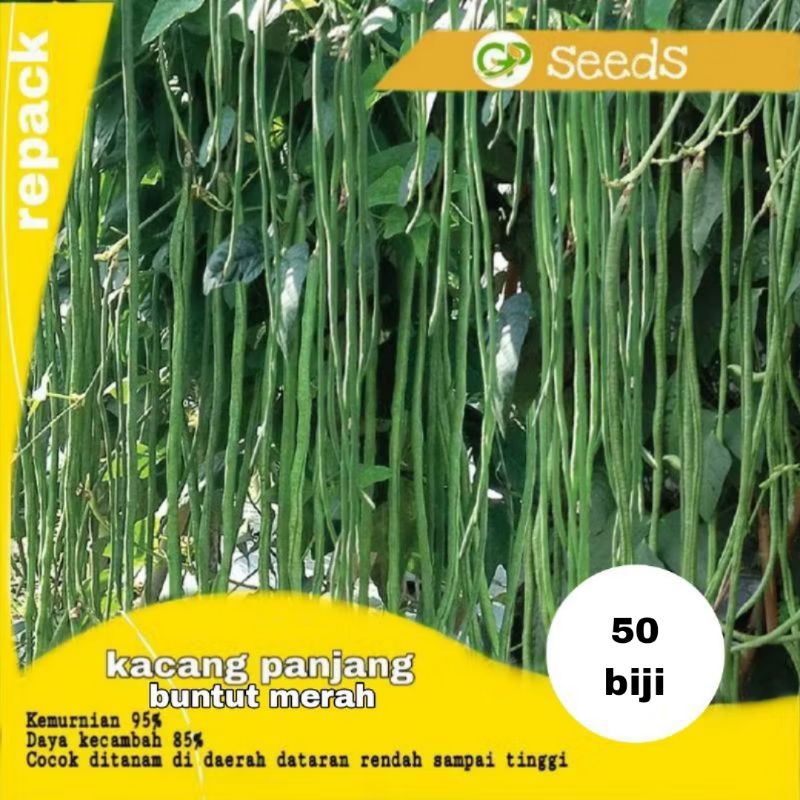 benih kacang panjang buntut merah