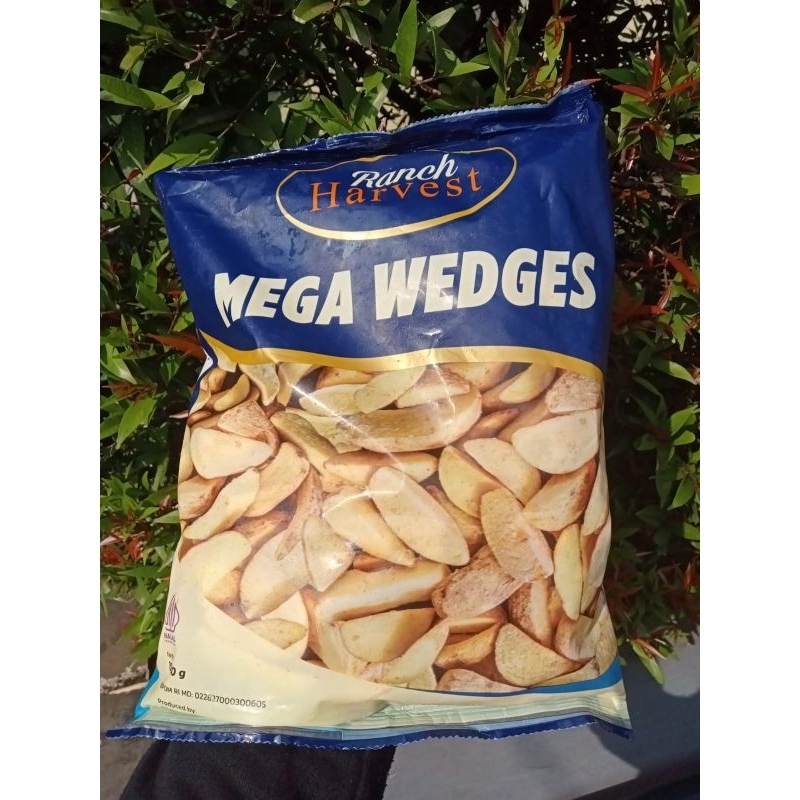 

Avico wedges 1 kg