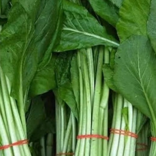 

Sawi Hijau Caisim 500gr