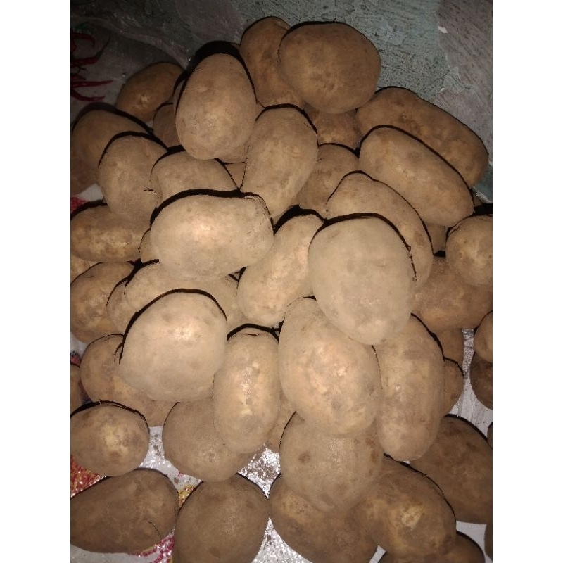 

Kentang dieng besar 1 kg