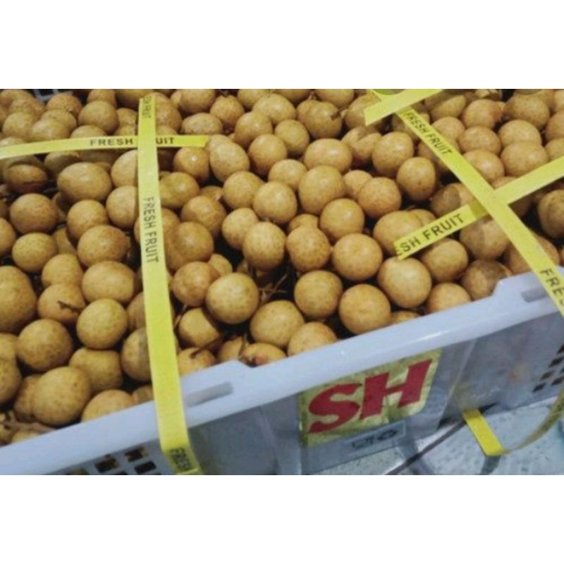 

Buah Lengkeng Manis Segar 250gram