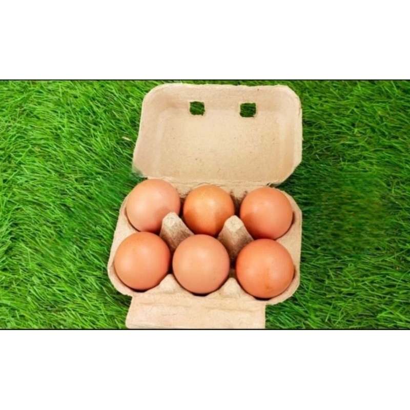 Paper egg / Tray egg kertas 6 lubang sudah ada pengunci